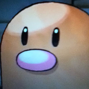 Meet your Posher, Vincent